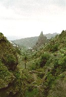 goma15.jpg