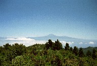 goma17.jpg