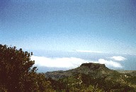 goma18.jpg