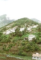 goma27.jpg