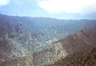 gomb06.jpg