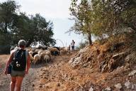 kreta218.jpg